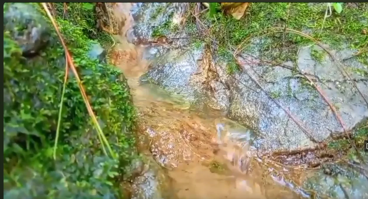 Captura de pantalla 2025 03 21 185228