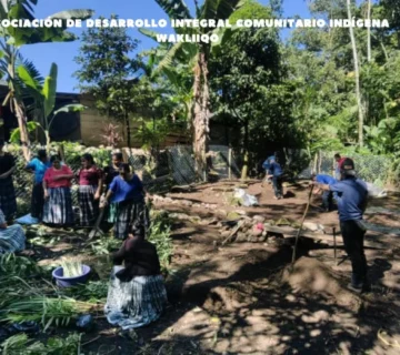 ASOCIACION DE dESARROLLO INTEGRAL COMUNITARIO INDIGENA 5 min 1 360x320